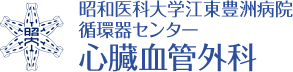 昭和医科大学江東豊洲病院循環器センター心臓血管外科